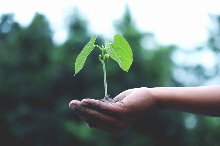 Does my architect share my views on sustainability?
