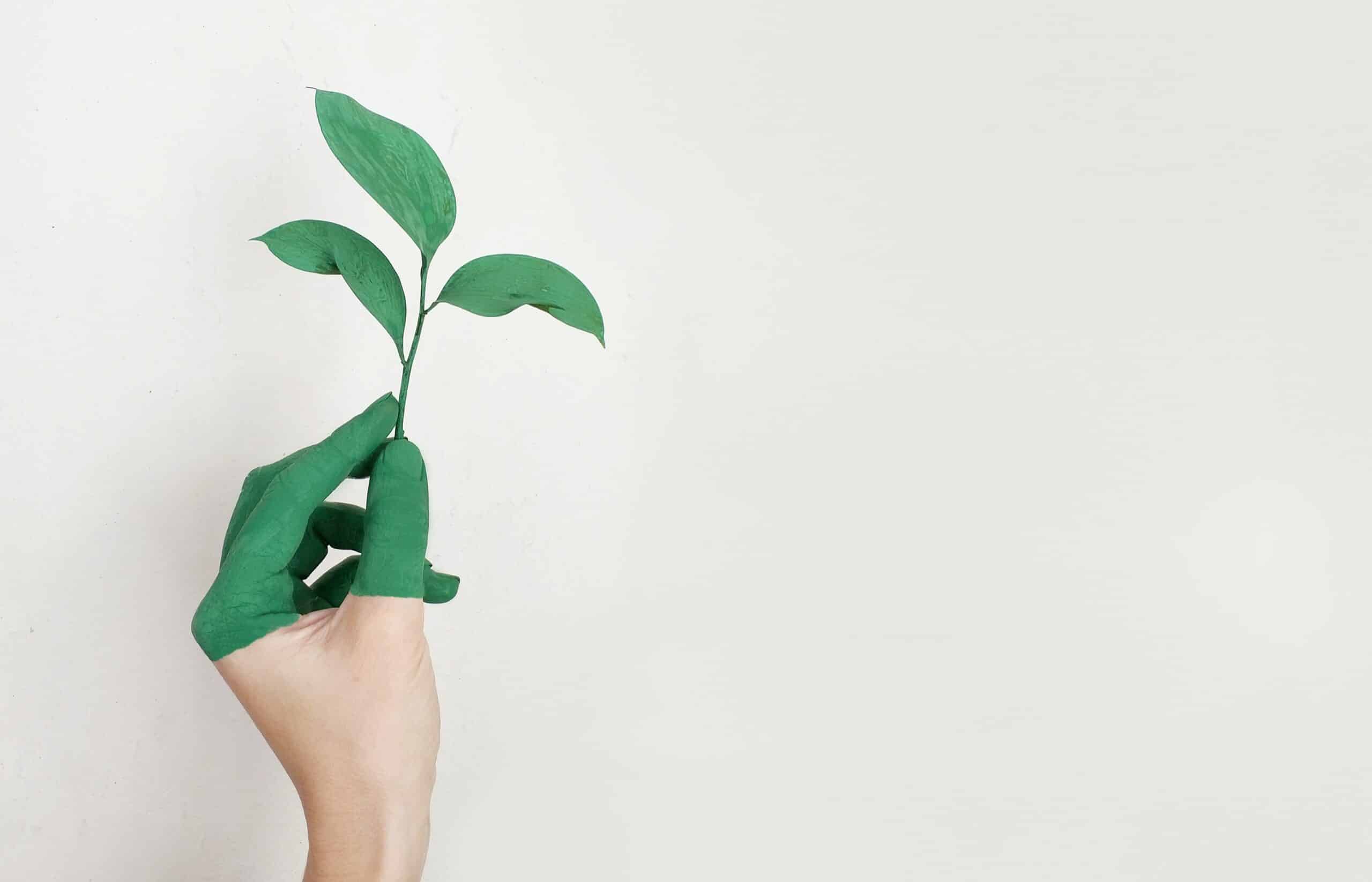5 ways to make your home more eco-friendly on a budget