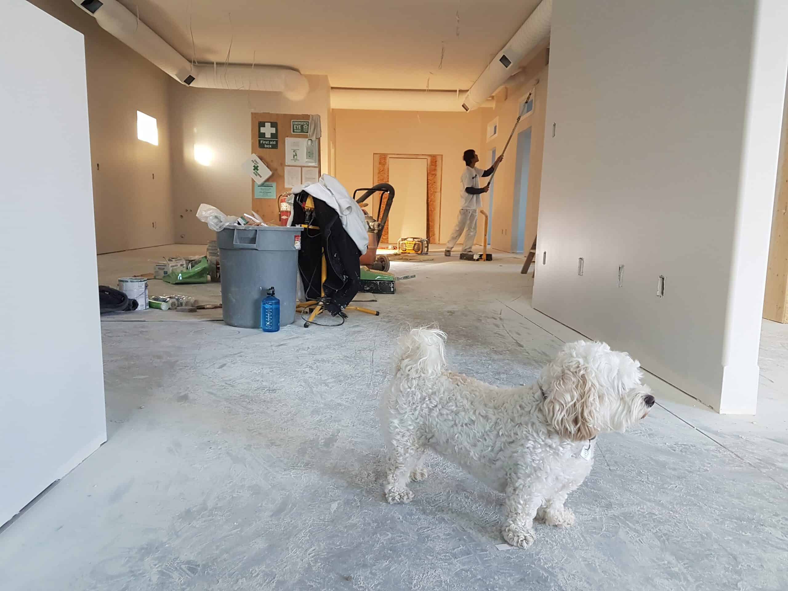 How much are professional fees when renovating a house?