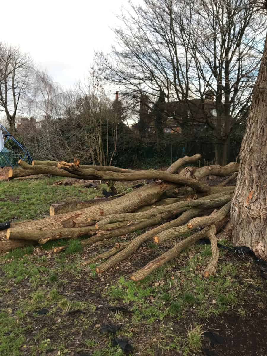 King Alfred School Tree House—Ready, Set, Chop!