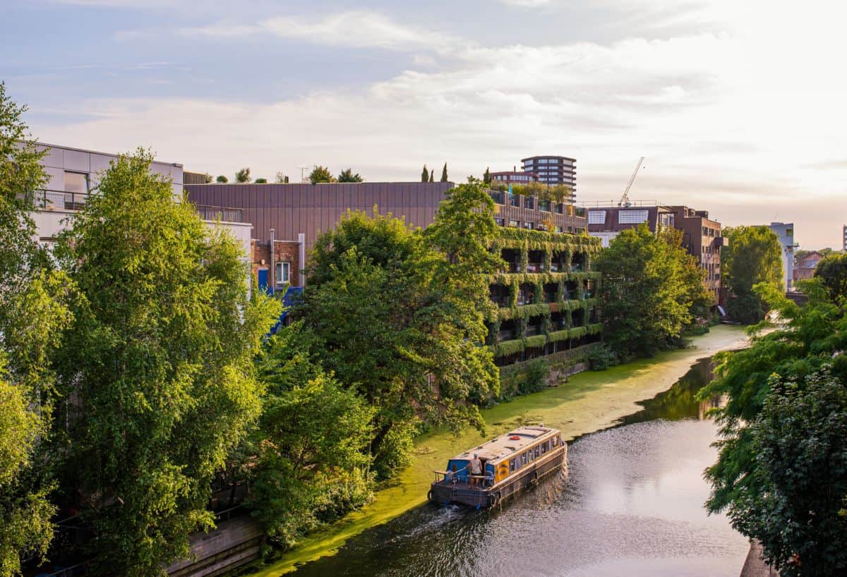An Oasis of Calm in North London